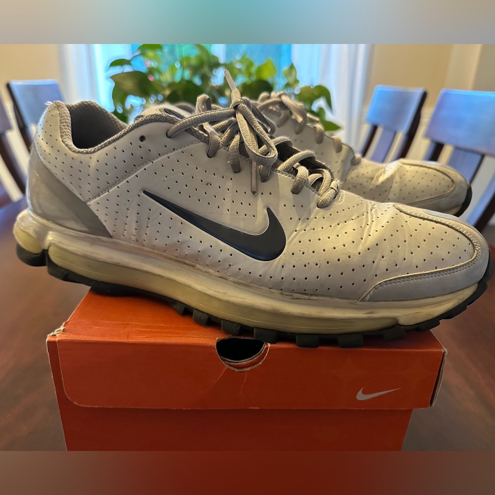 Nike Air Max 2003 in size 13. This pair was re-released in 2005.